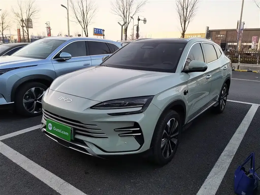 BYD PLUS New Energy 2025 из CN, фото 1