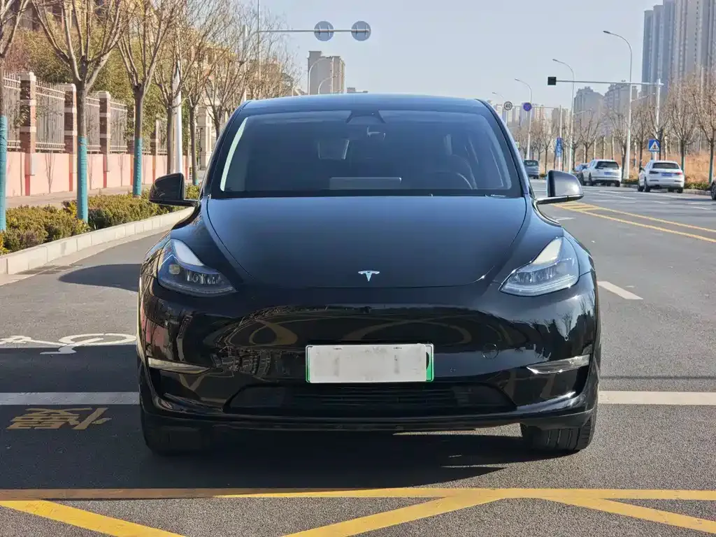Tesla Model Y — фото 8