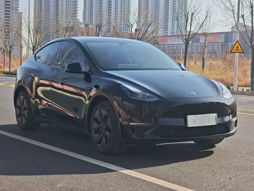 Tesla Model Y — фото 10