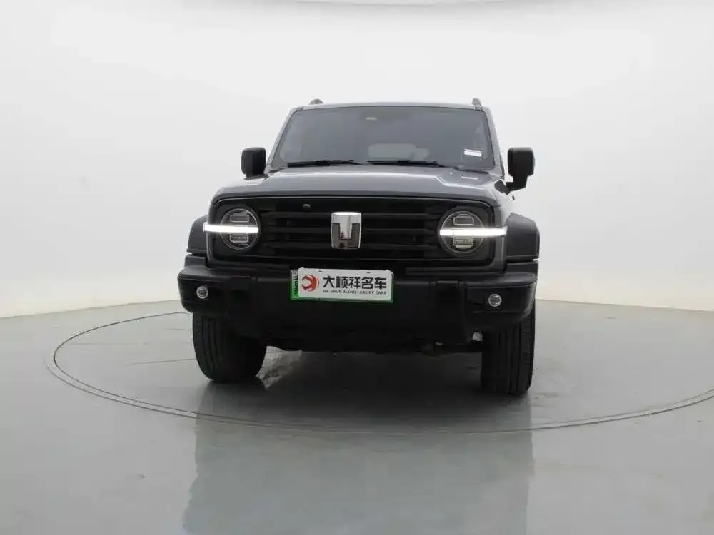 Tank 300 New Energy 2025 из CN, фото 4