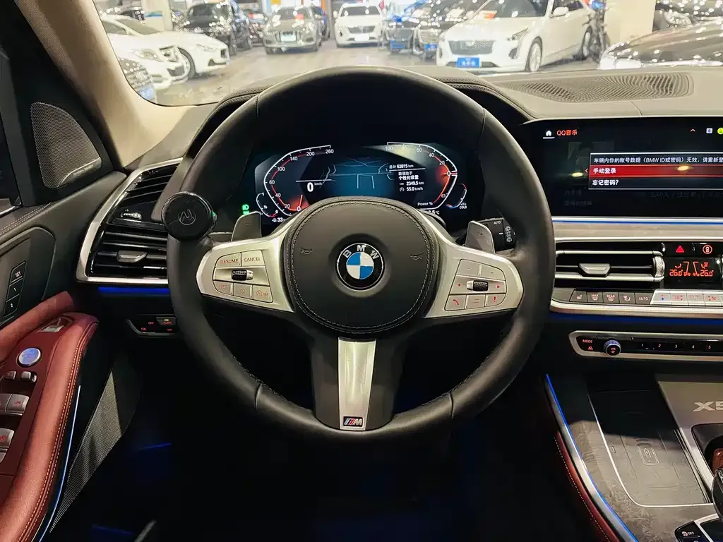BMW X5 2023 из CN, фото 6