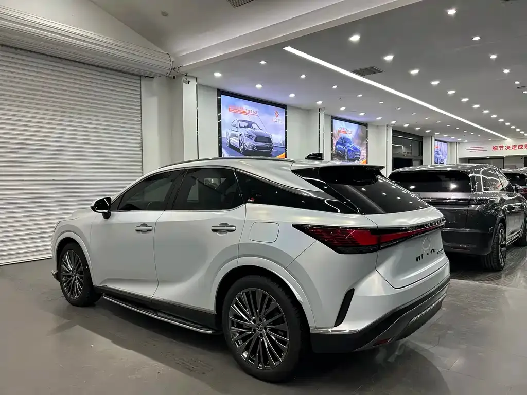 Lexus RX New Energy 2024 из CN, фото 8