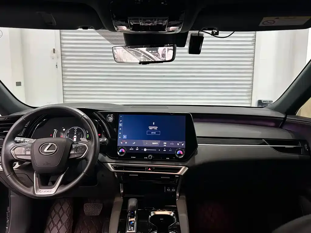 Lexus RX New Energy 2024 из CN, фото 6