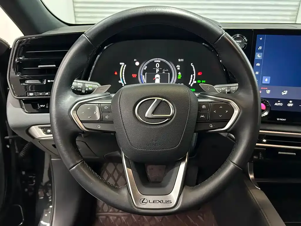 Lexus RX New Energy 2024 из CN, фото 10