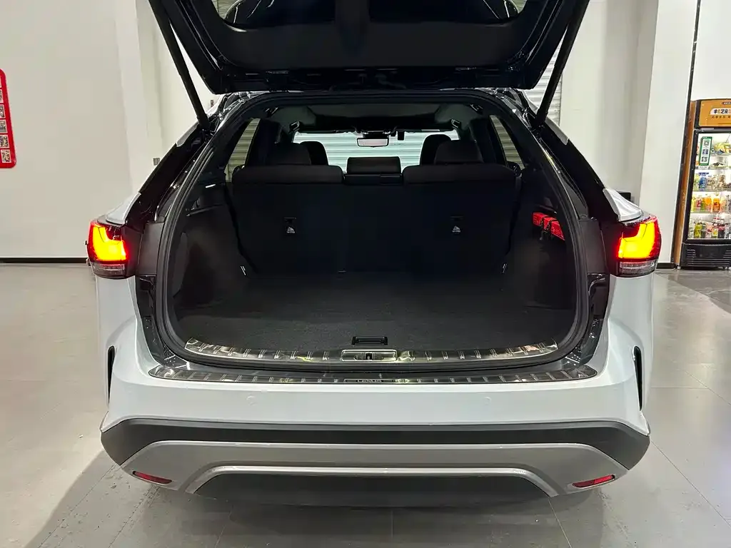 Lexus RX New Energy 2024 из CN, фото 5