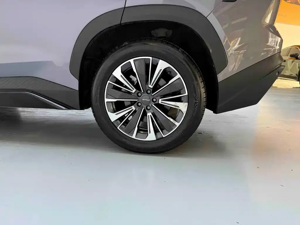 Jetour Dasheng 2022 из CN, фото 2