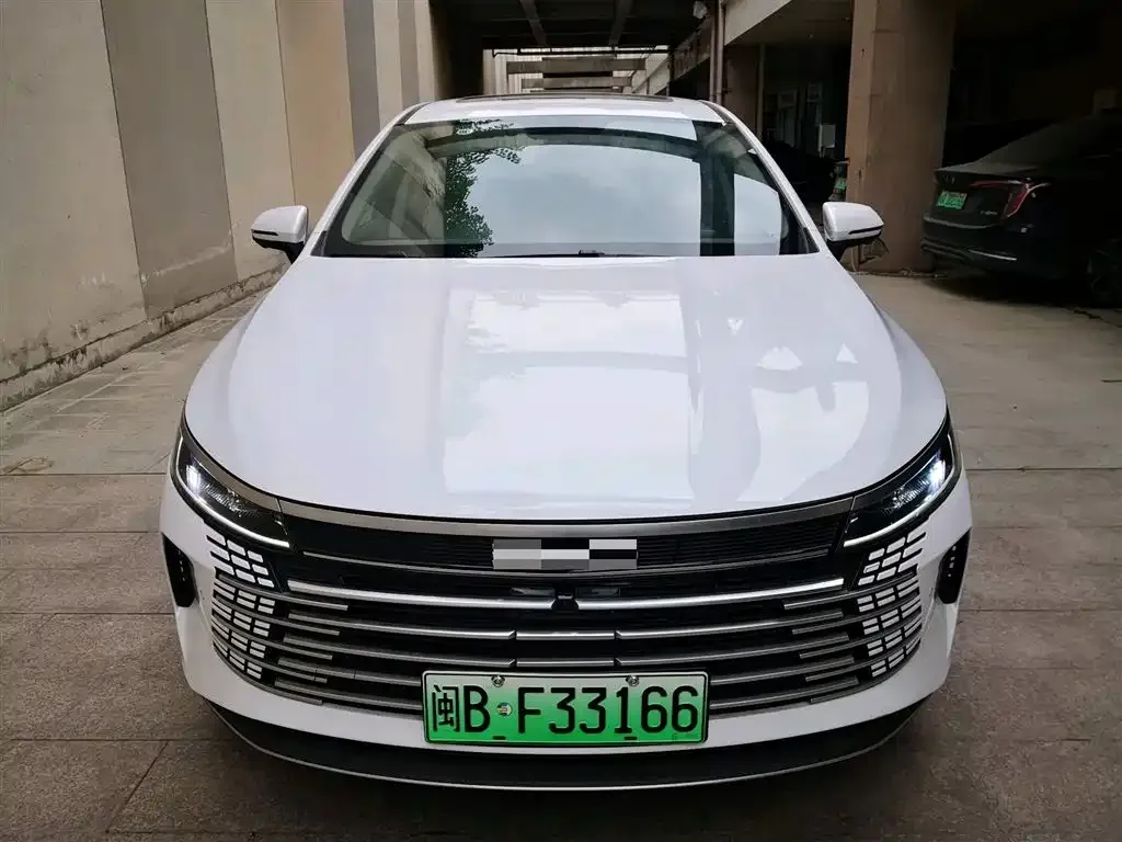 BYD Destroyer 05 2024 из CN, фото 2