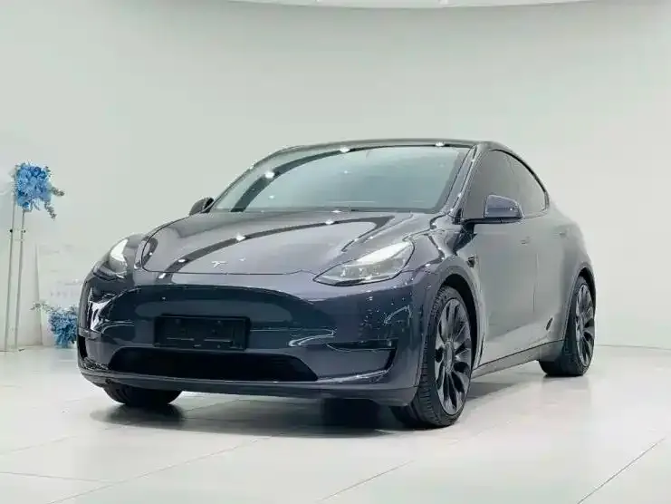Tesla Model Y — фото 1