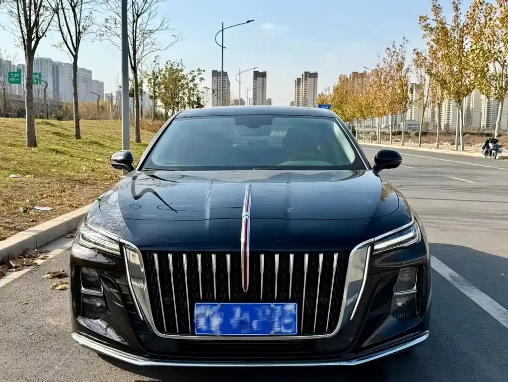 Hongqi H5 2024 из CN, фото 3