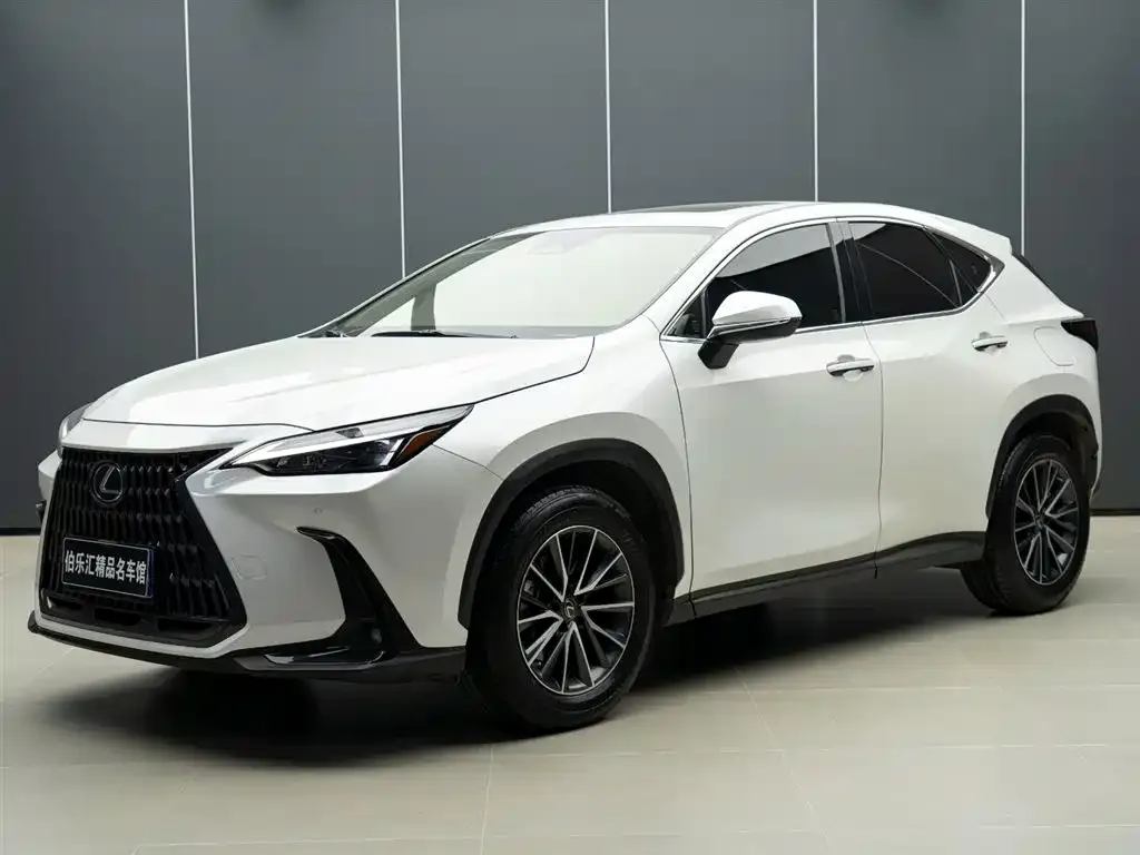 Lexus NX 2022 из CN, фото 1