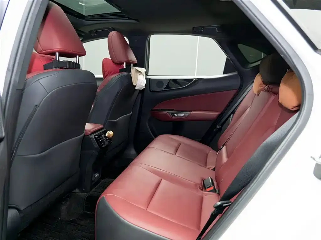 Lexus NX 2022 из CN, фото 6