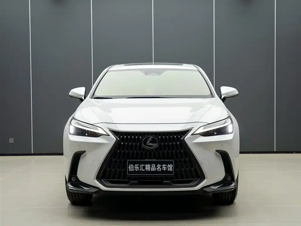 Lexus NX 2022 из CN, фото 8