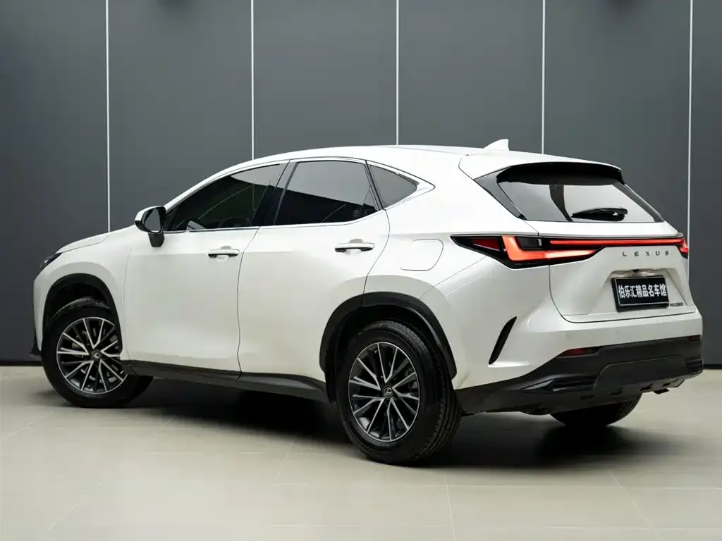 Lexus NX 2022 из CN, фото 10