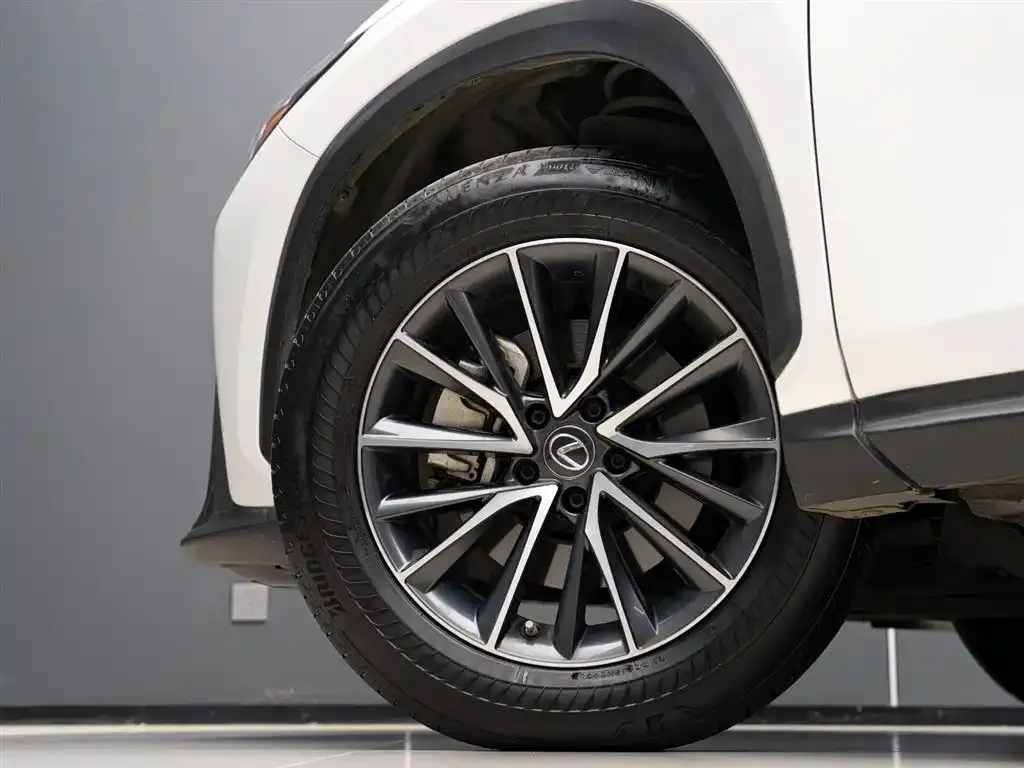 Lexus NX 2022 из CN, фото 5