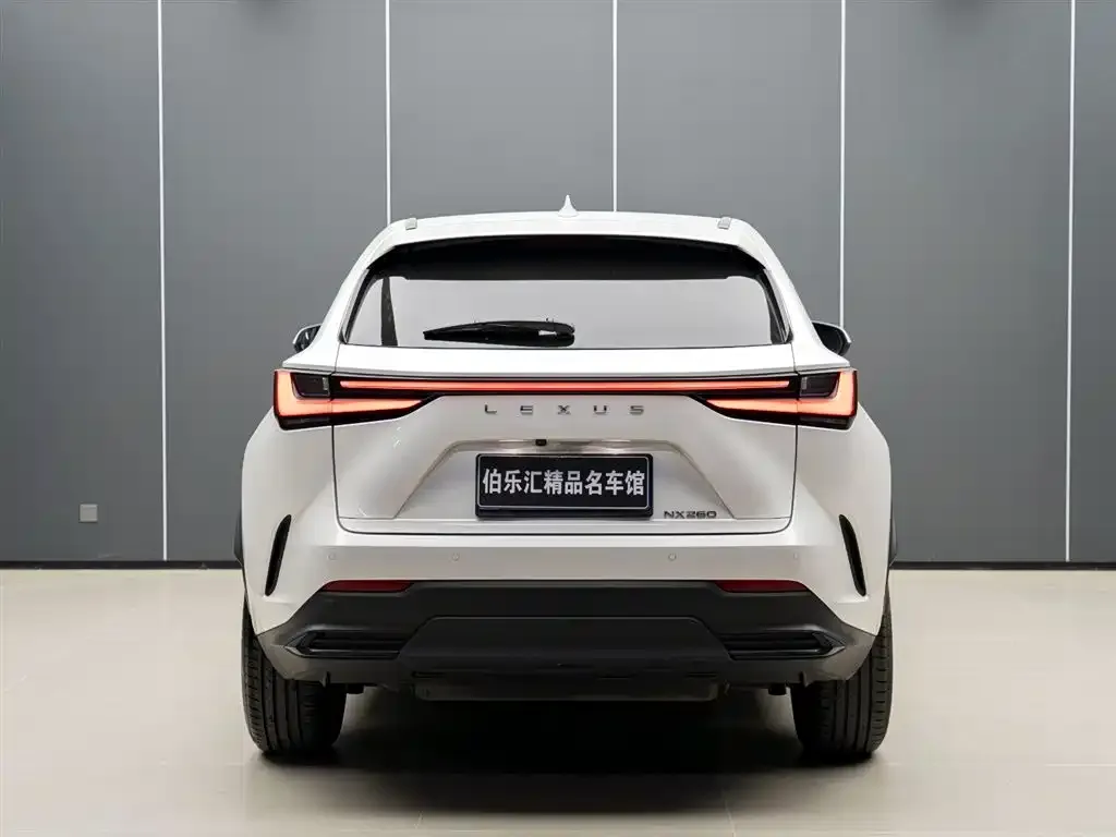 Lexus NX 2022 из CN, фото 4