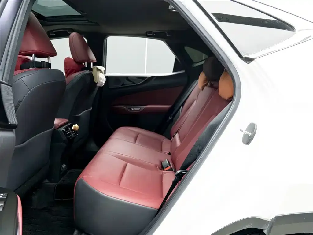 Lexus NX 2022 из CN, фото 2