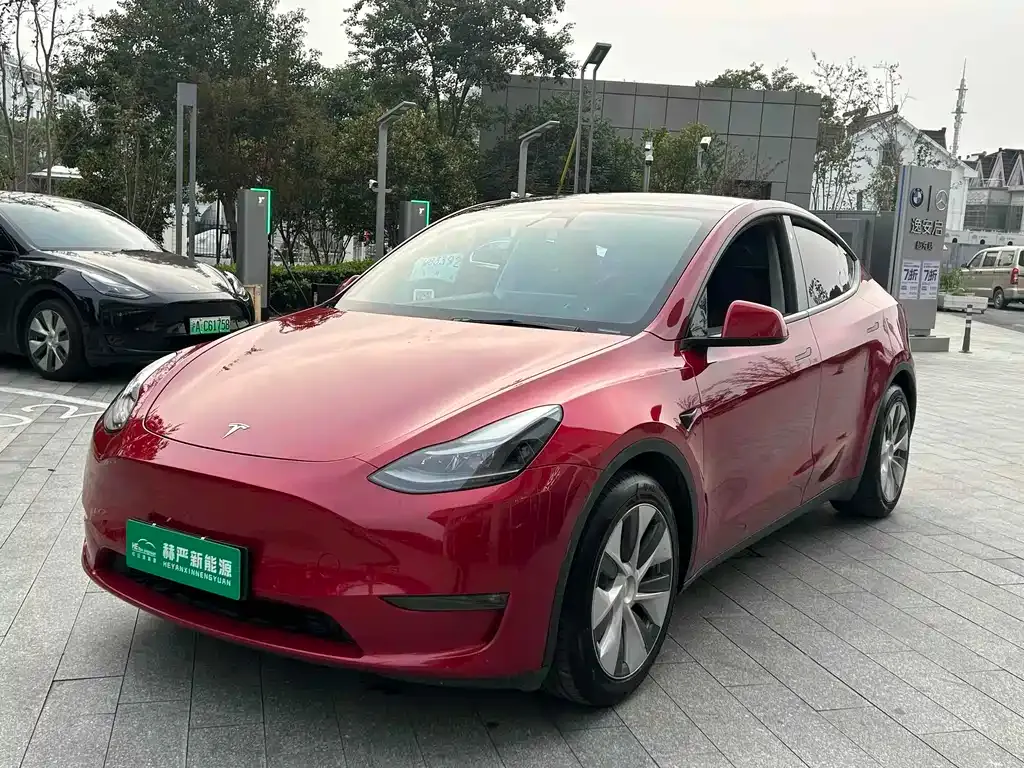 Tesla Model Y — фото 8