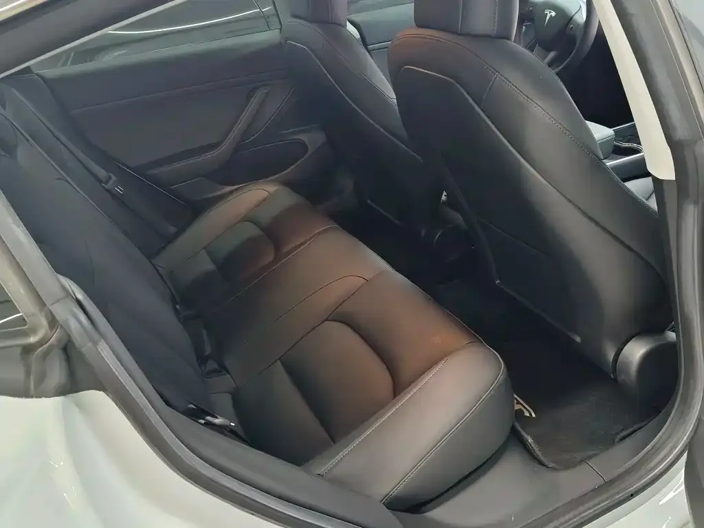 Tesla Model 3 2021 из CN, фото 5