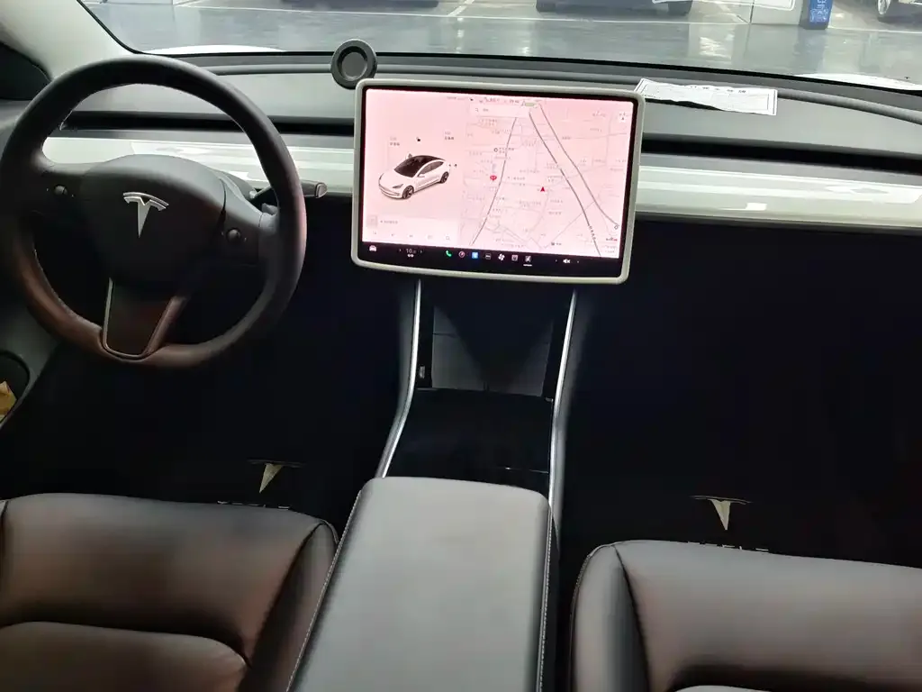 Tesla Model 3 2021 из CN, фото 6