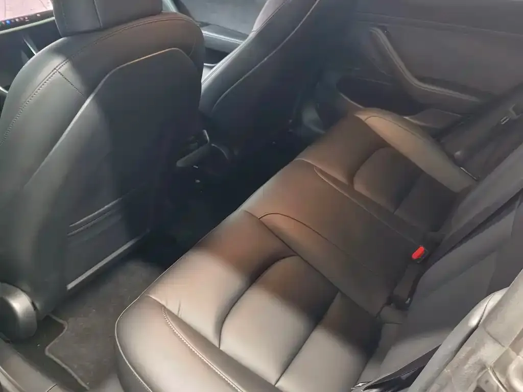 Tesla Model 3 2021 из CN, фото 8