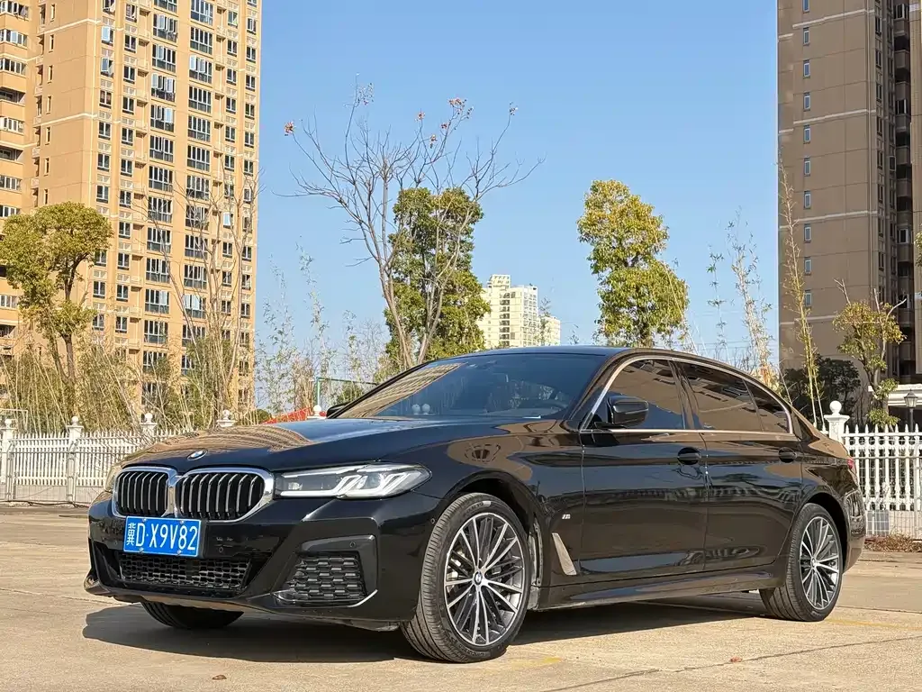 BMW 5 Series 2021 из CN, фото 1