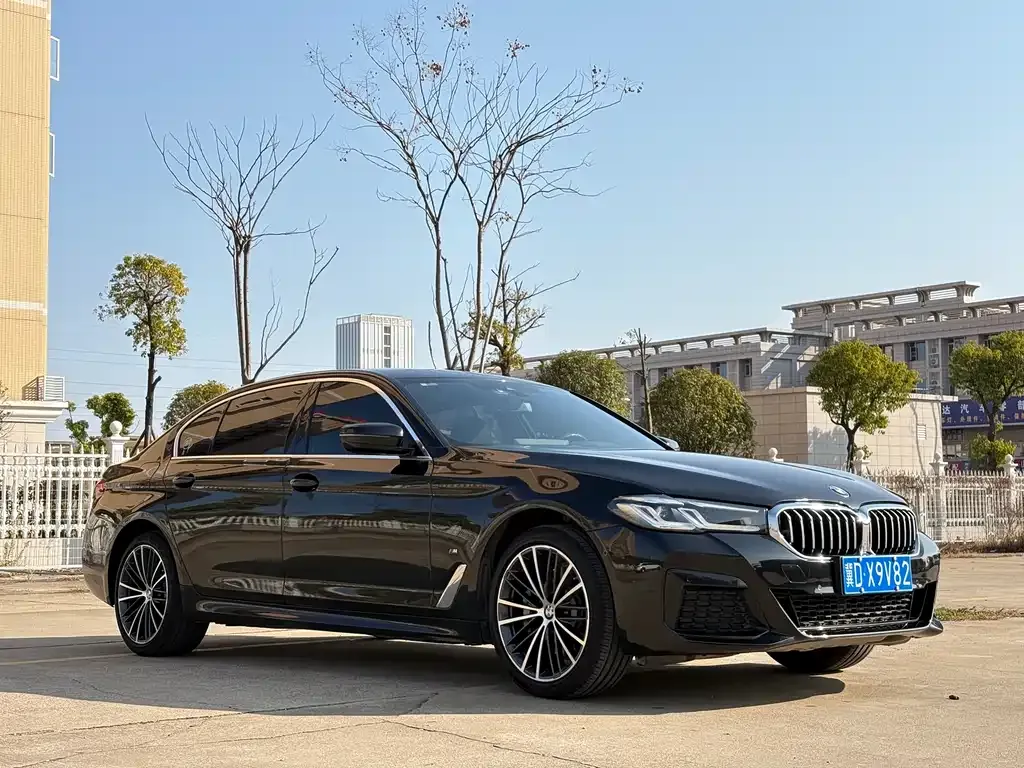 BMW 5 Series 2021 из CN, фото 9
