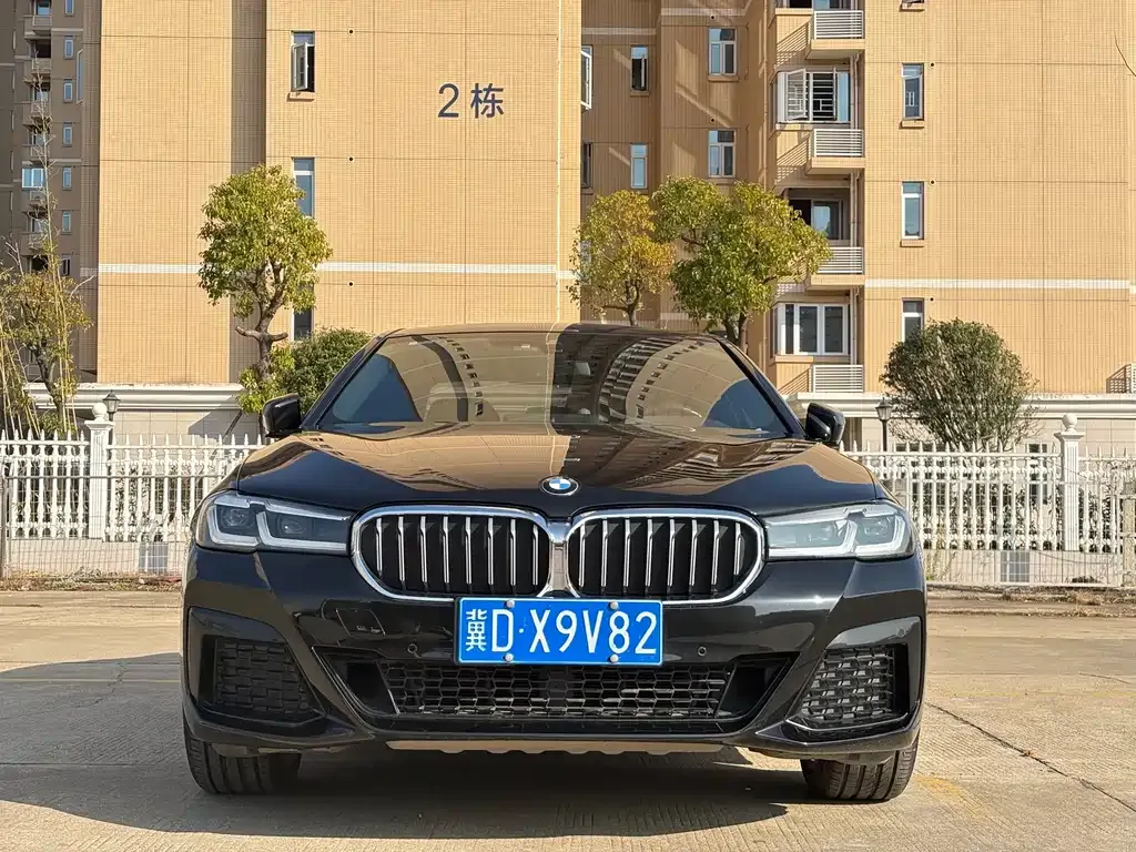 BMW 5 Series 2021 из CN, фото 7