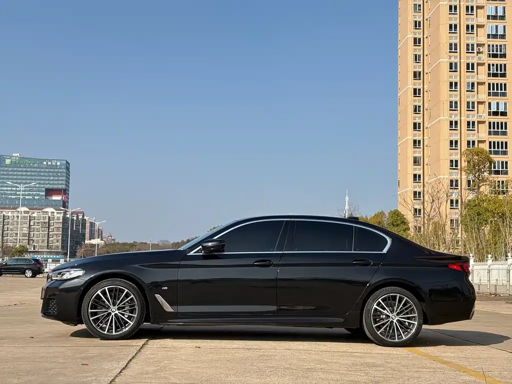 BMW 5 Series 2021 из CN, фото 4