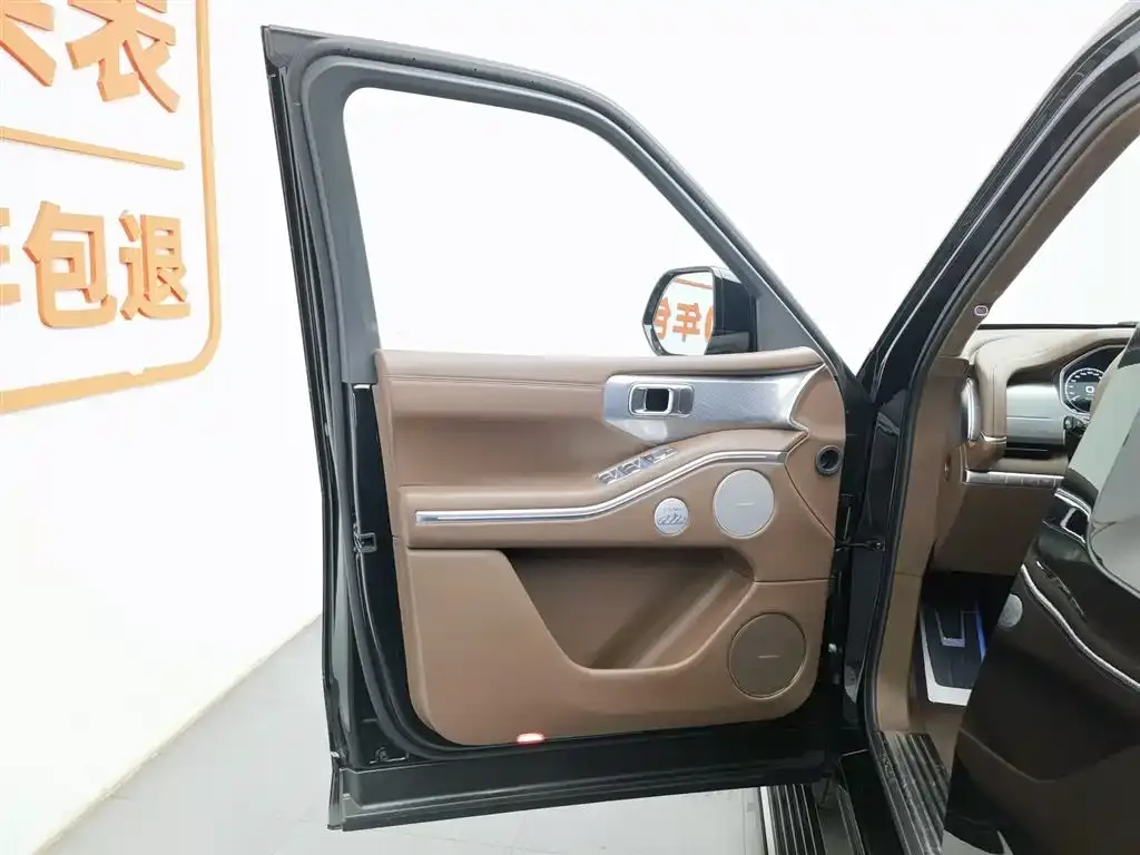 Tank 700 New Energy 2025 из CN, фото 10