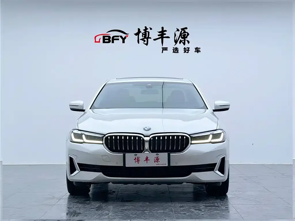 BMW 5 Series New Energy — фото 2