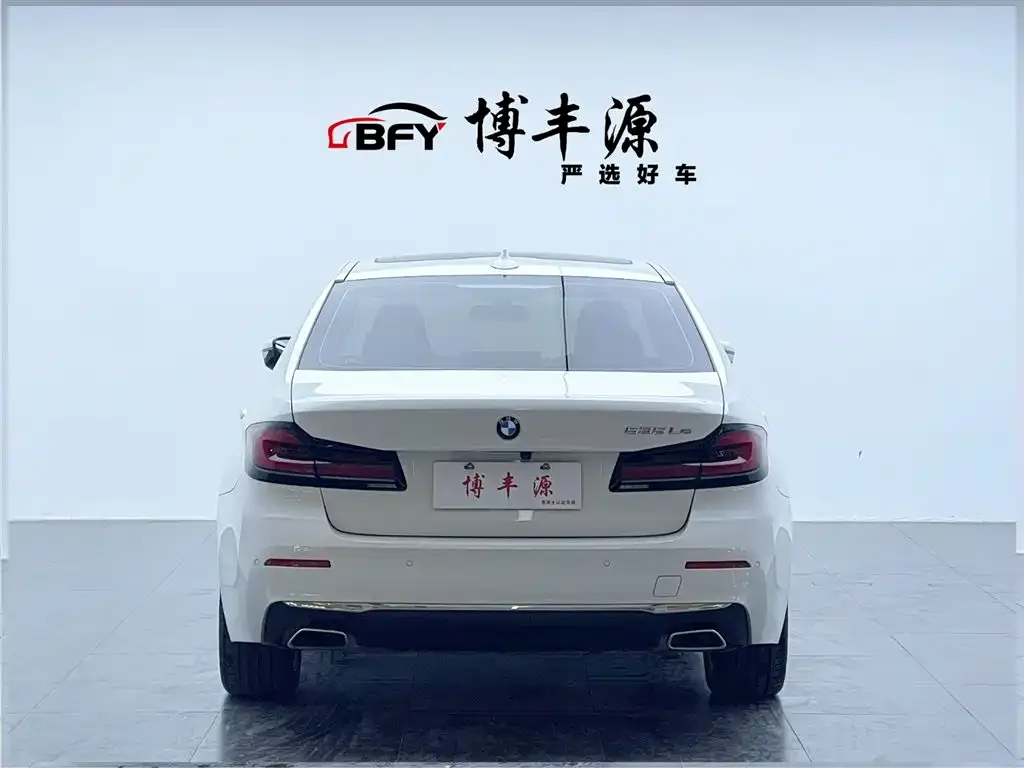 BMW 5 Series New Energy — фото 3