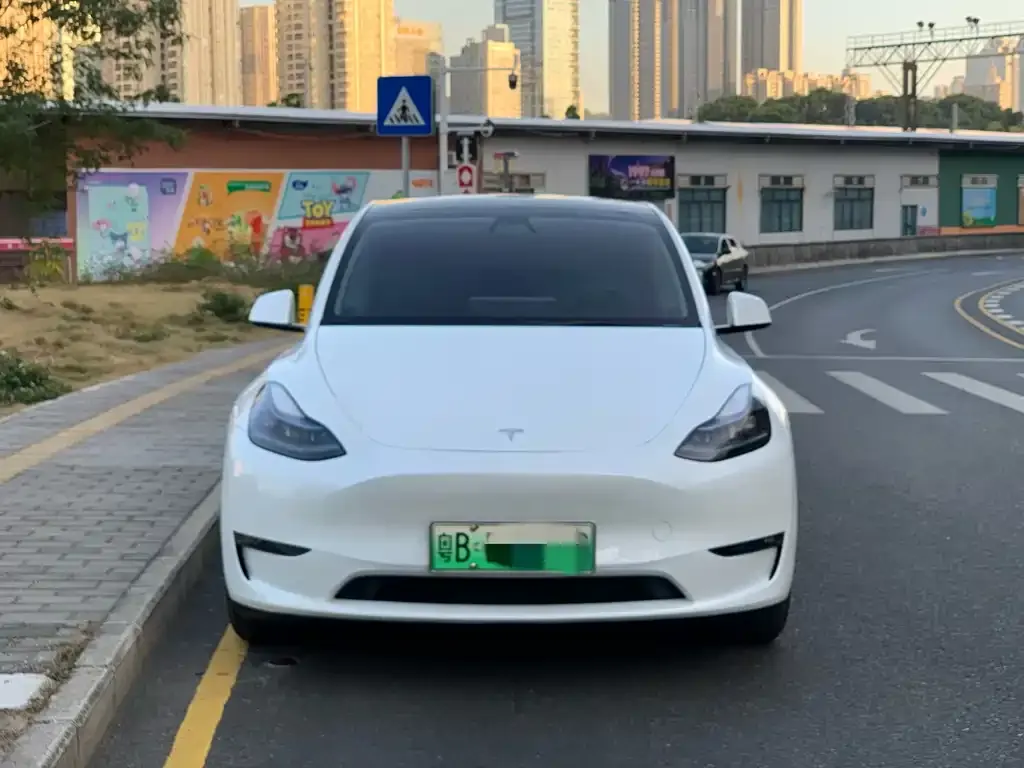 Tesla Model Y — фото 2