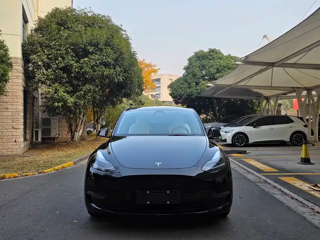 Tesla Model Y — фото 2