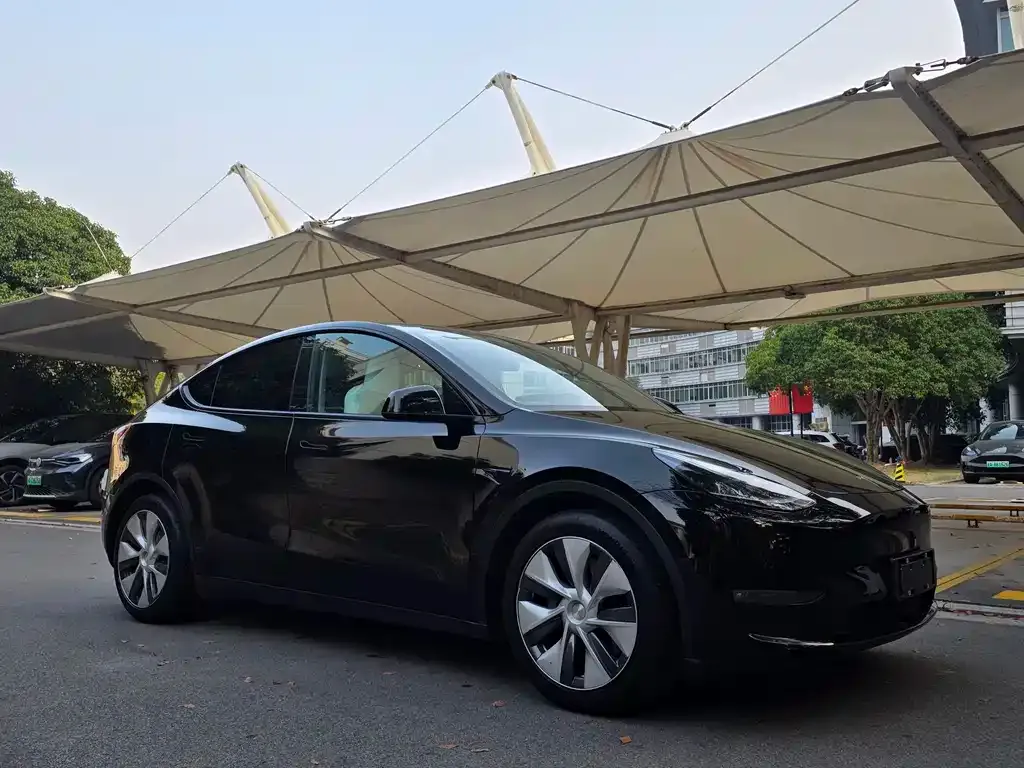 Tesla Model Y — фото 3