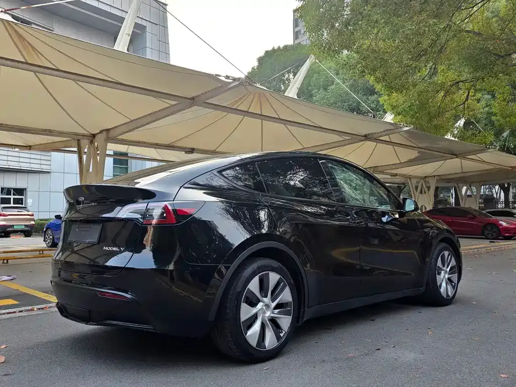 Tesla Model Y — фото 5