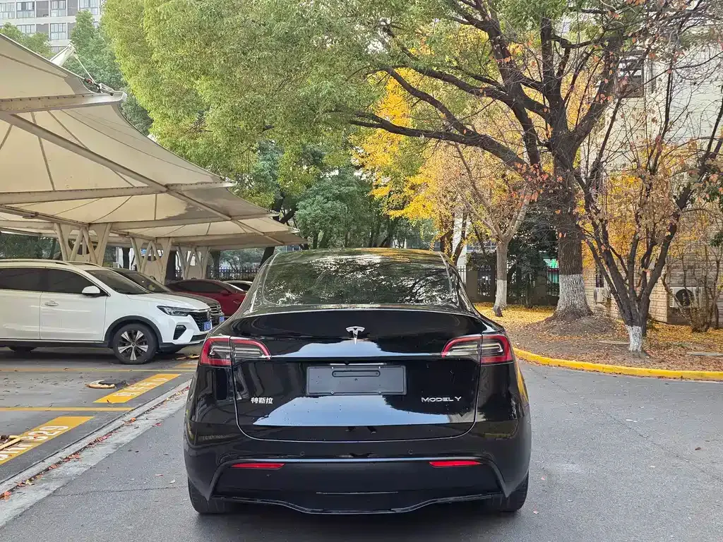 Tesla Model Y — фото 6