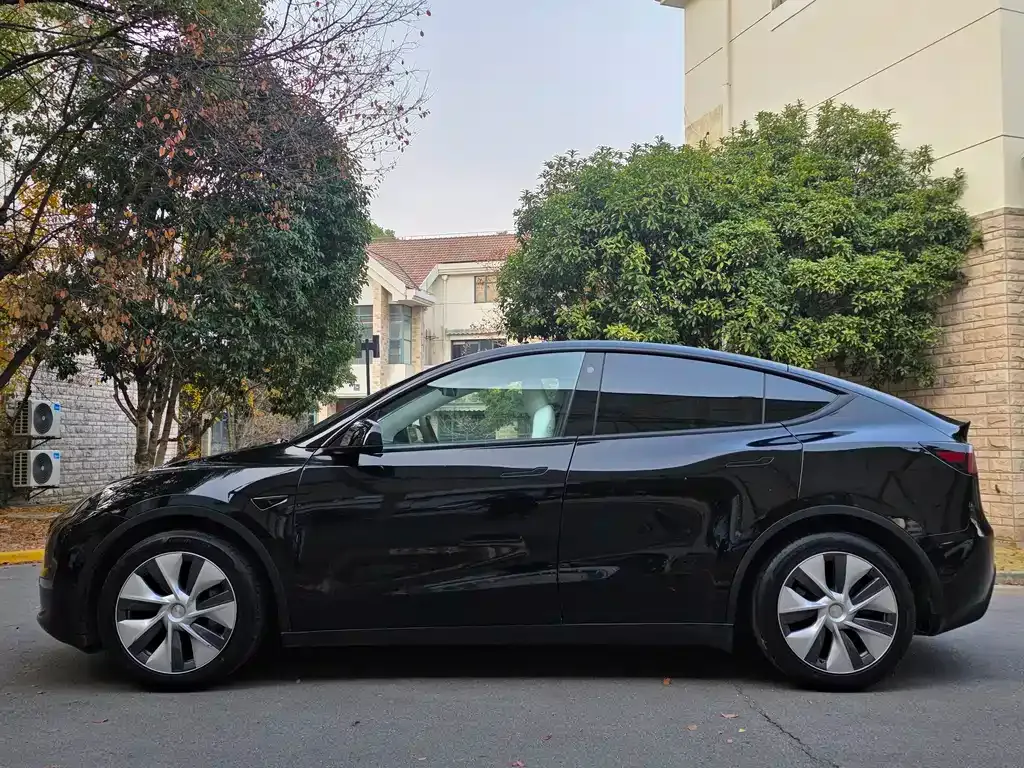 Tesla Model Y — фото 8