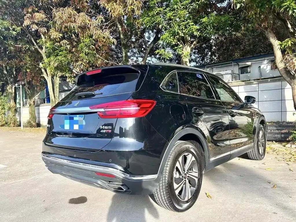 Hongqi HS5 2021 из CN, фото 8
