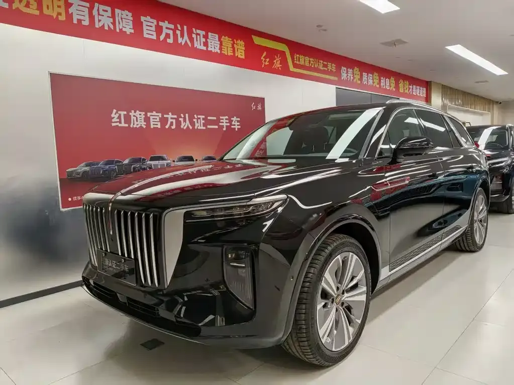 Hongqi E-HS9 — фото 1