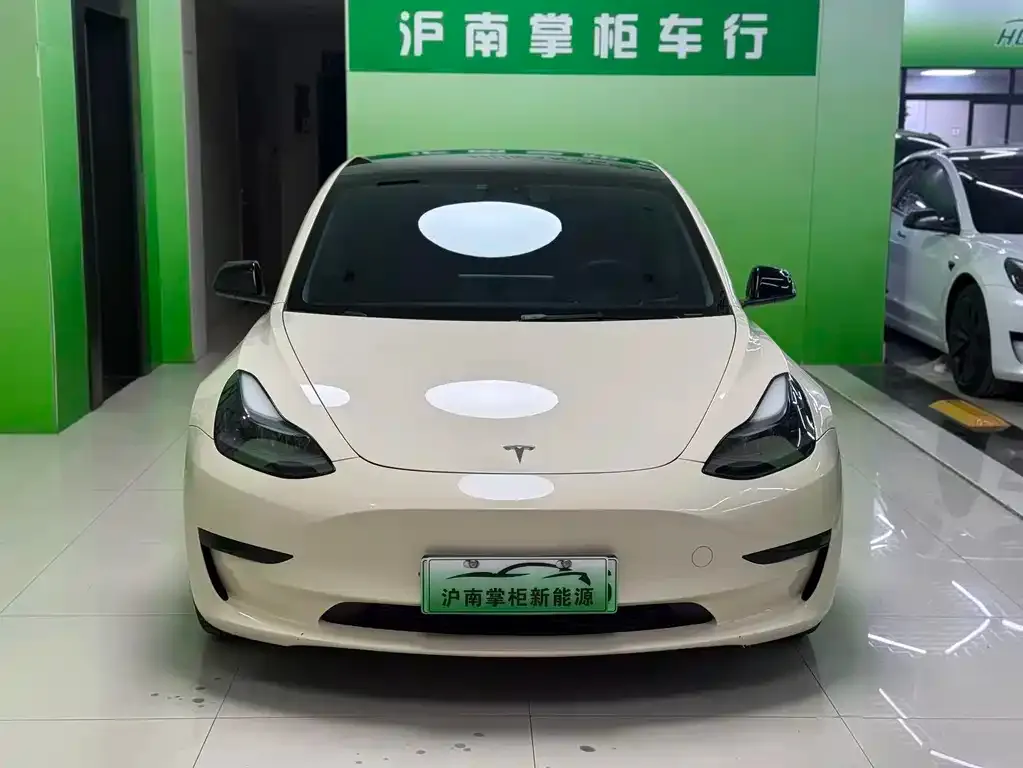 Tesla Model 3 2022 из CN, фото 7