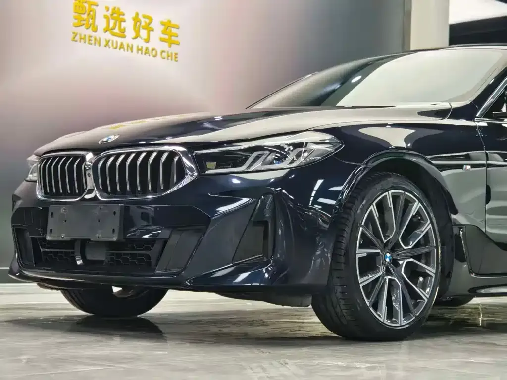 BMW 6 Series GT 2022 из CN, фото 9
