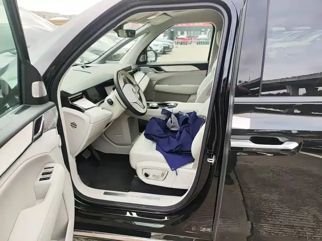 Volvo EM90 2024 из CN, фото 6