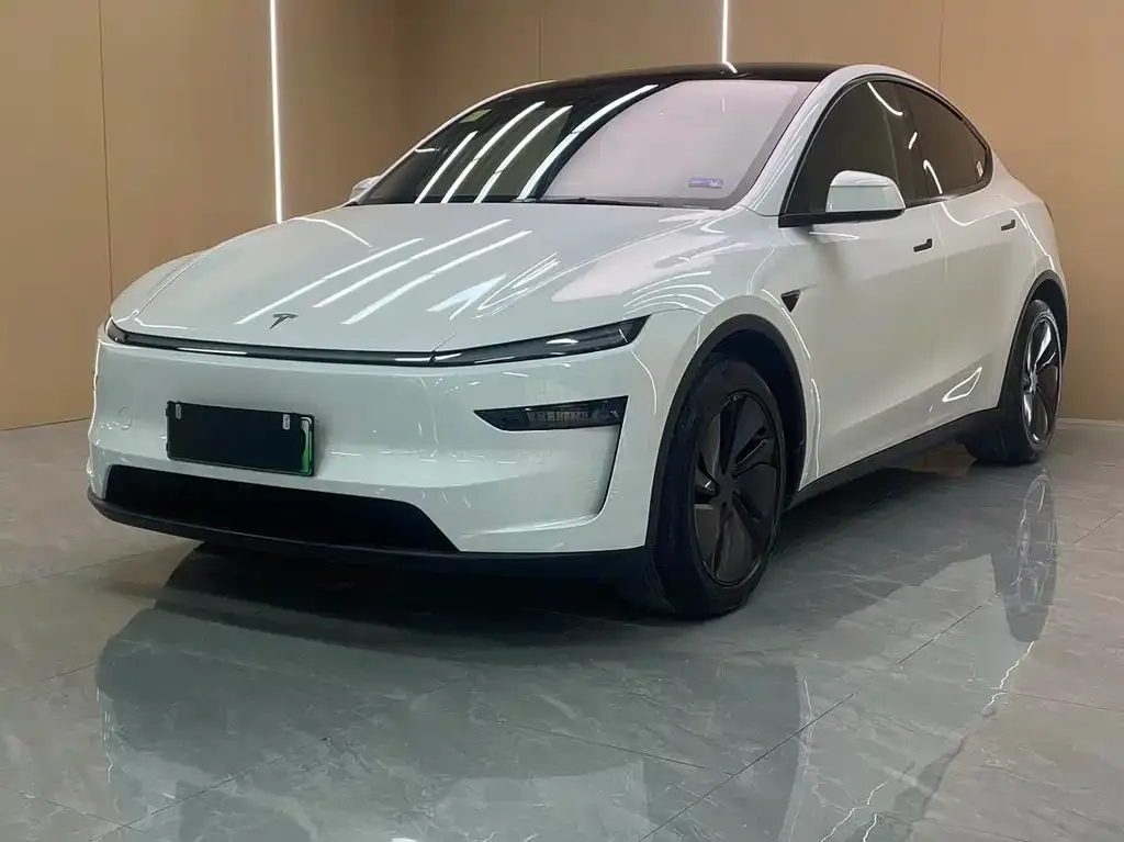Tesla Model Y — фото 10