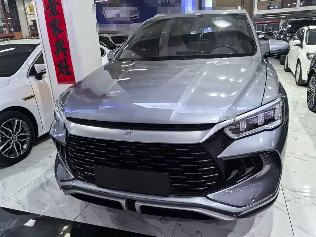 BYD Pro New Energy 2023 из CN, фото 7