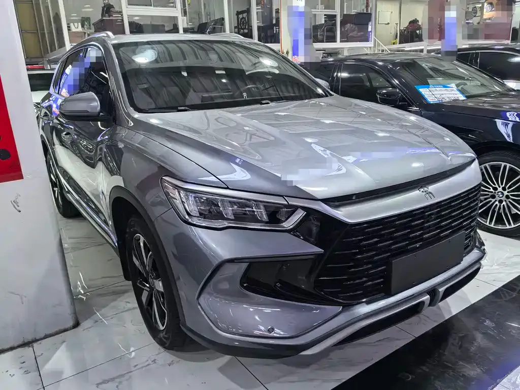 BYD Pro New Energy 2023 из CN, фото 2