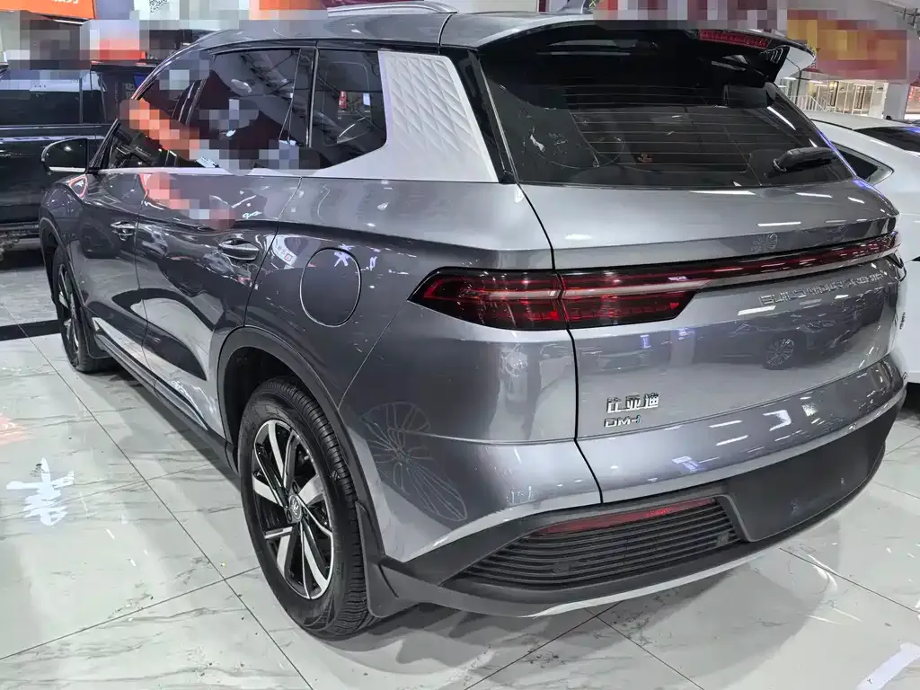 BYD Pro New Energy 2023 из CN, фото 3