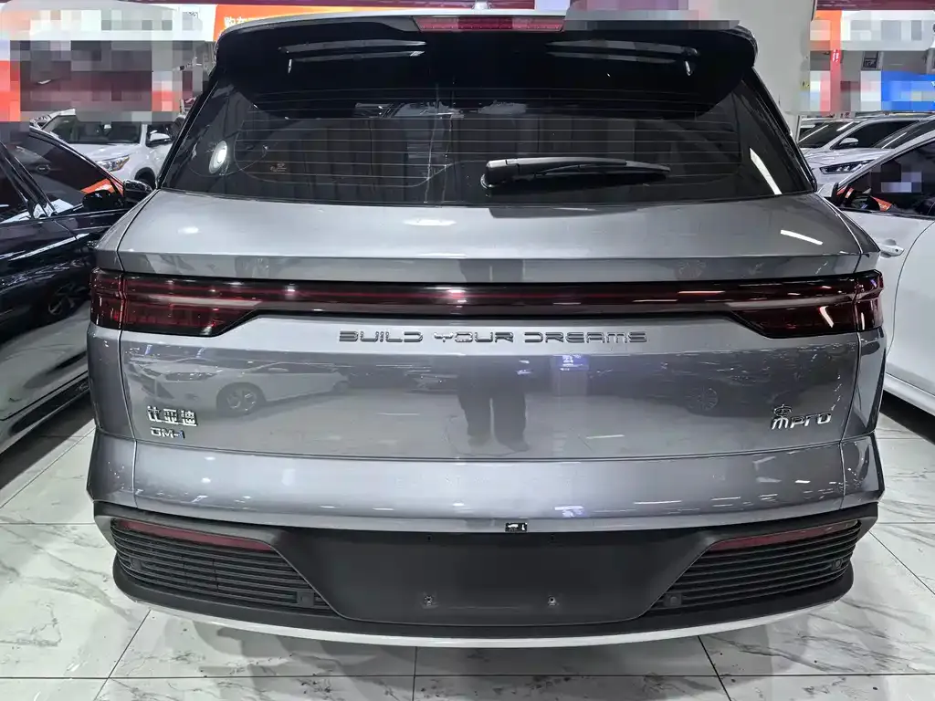 BYD Pro New Energy 2023 из CN, фото 8