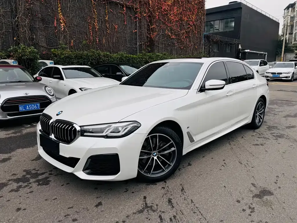 BMW 5 Series 2021 из CN, фото 1