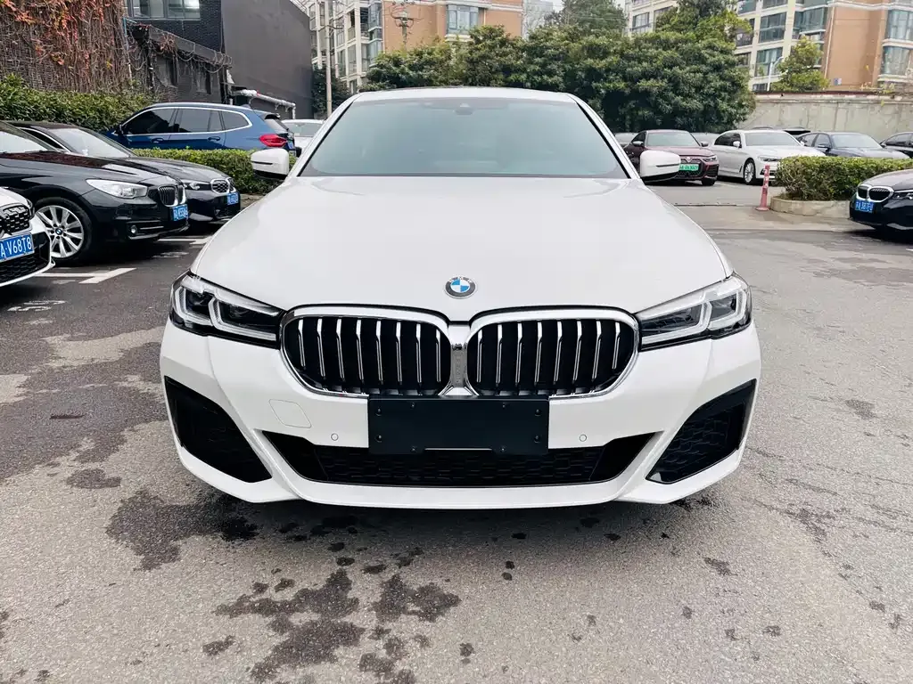 BMW 5 Series 2021 из CN, фото 4