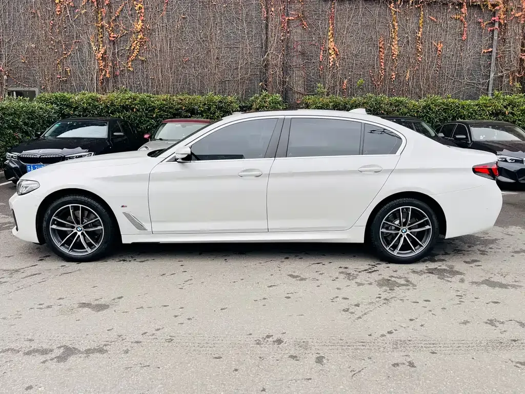 BMW 5 Series 2021 из CN, фото 5